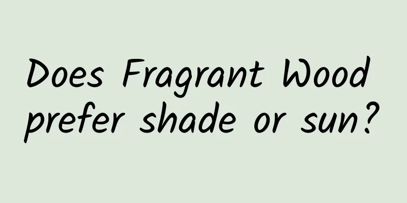 Does Fragrant Wood prefer shade or sun?