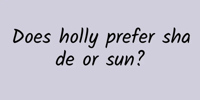 Does holly prefer shade or sun?