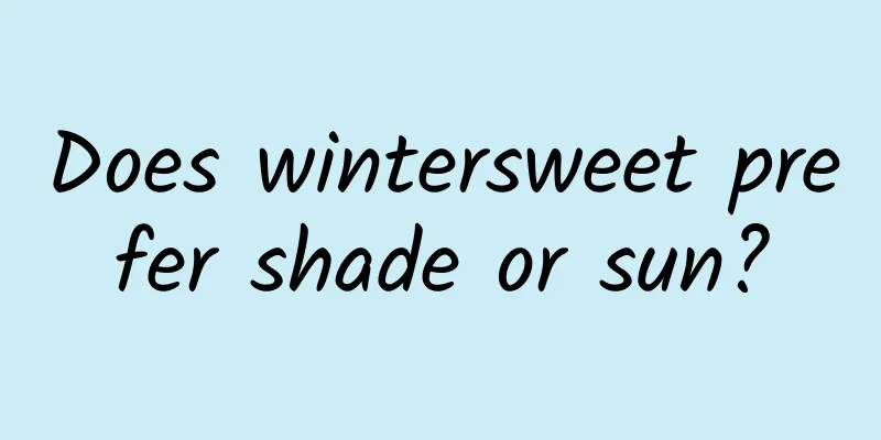 Does wintersweet prefer shade or sun?