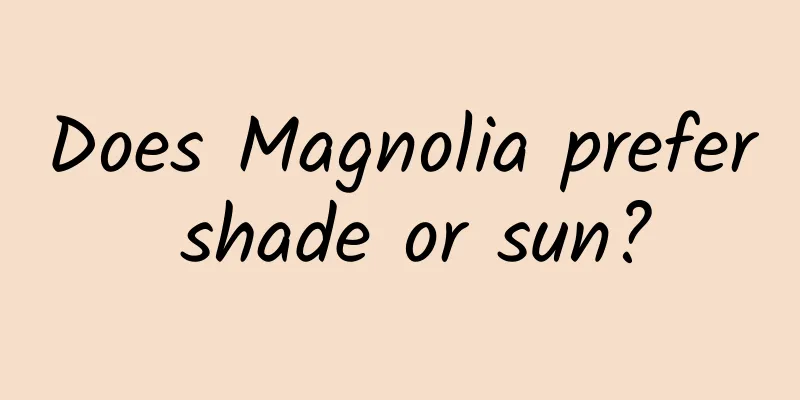 Does Magnolia prefer shade or sun?