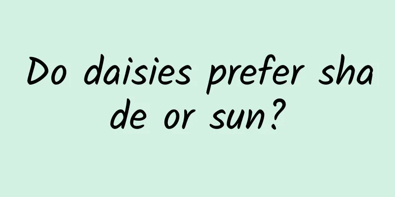 Do daisies prefer shade or sun?