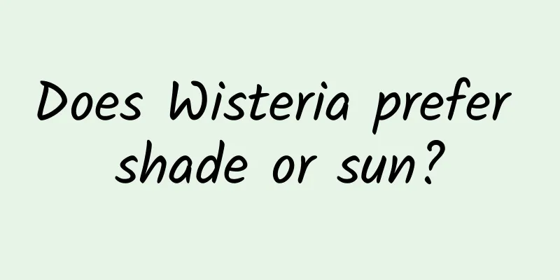 Does Wisteria prefer shade or sun?