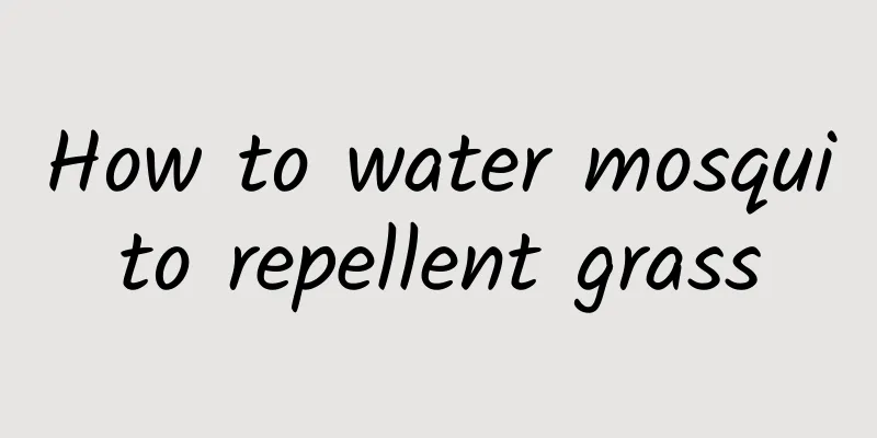 How to water mosquito repellent grass
