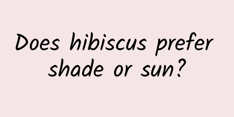 Does hibiscus prefer shade or sun?