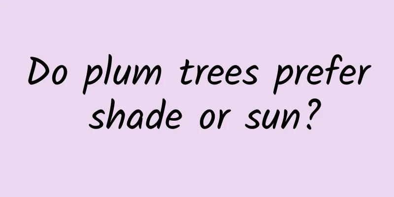 Do plum trees prefer shade or sun?