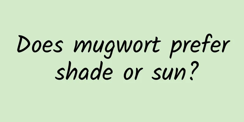 Does mugwort prefer shade or sun?