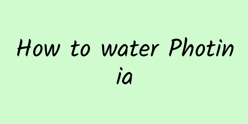 How to water Photinia