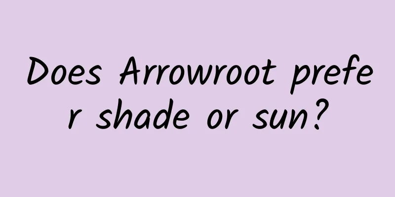 Does Arrowroot prefer shade or sun?