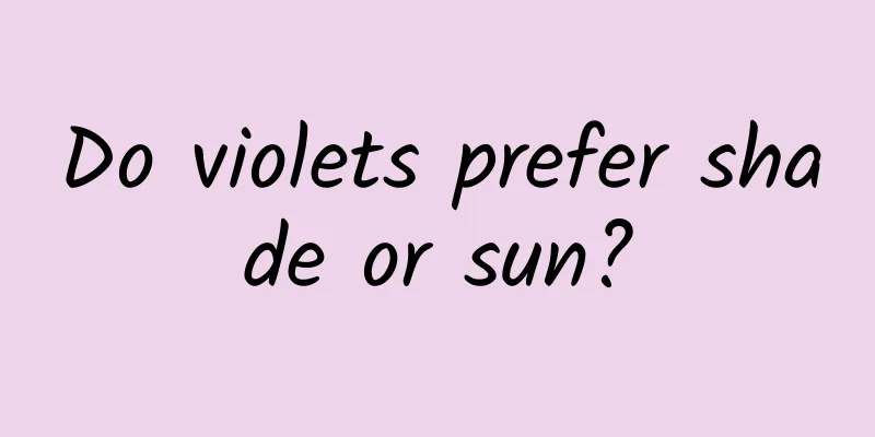 Do violets prefer shade or sun?