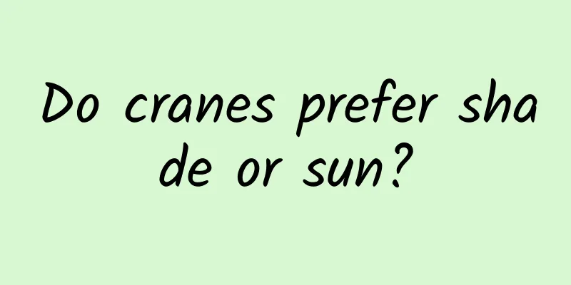 Do cranes prefer shade or sun?