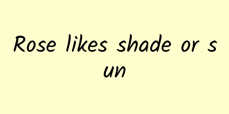 Rose likes shade or sun