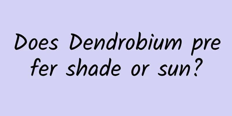Does Dendrobium prefer shade or sun?