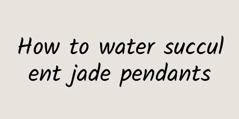 How to water succulent jade pendants