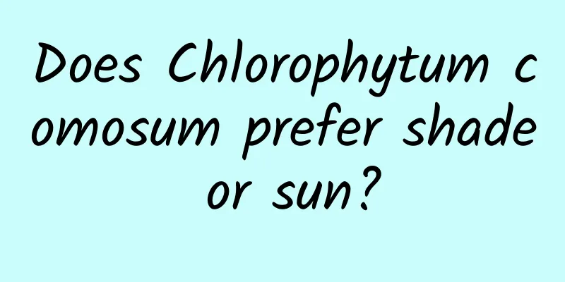 Does Chlorophytum comosum prefer shade or sun?