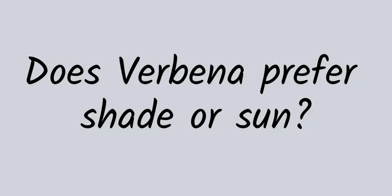 Does Verbena prefer shade or sun?