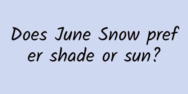 Does June Snow prefer shade or sun?