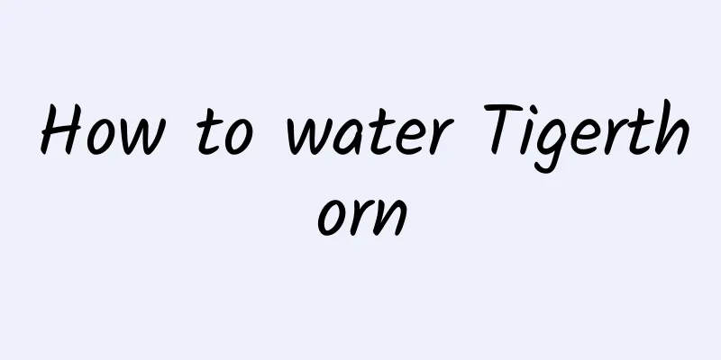 How to water Tigerthorn