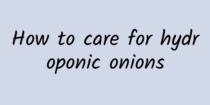 How to care for hydroponic onions