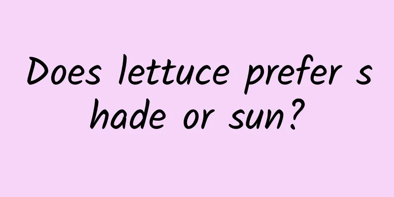 Does lettuce prefer shade or sun?