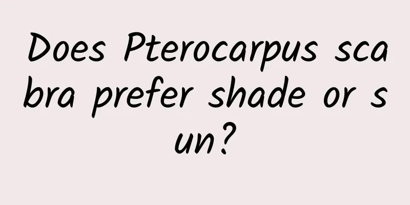 Does Pterocarpus scabra prefer shade or sun?