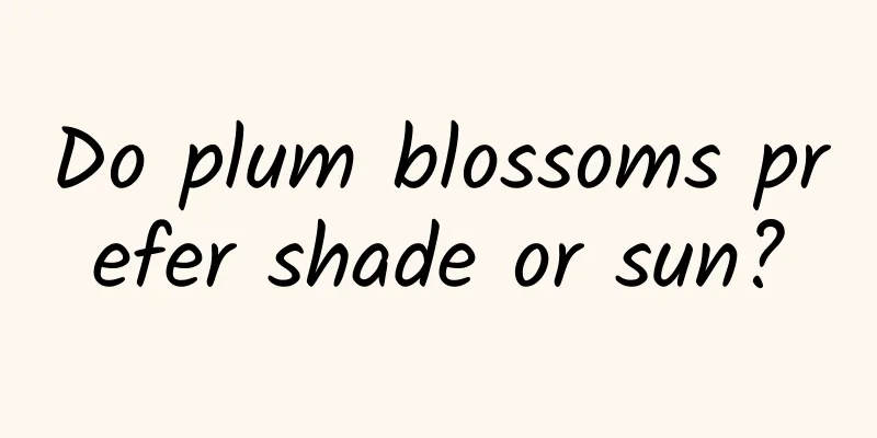 Do plum blossoms prefer shade or sun?