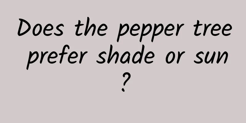 Does the pepper tree prefer shade or sun?