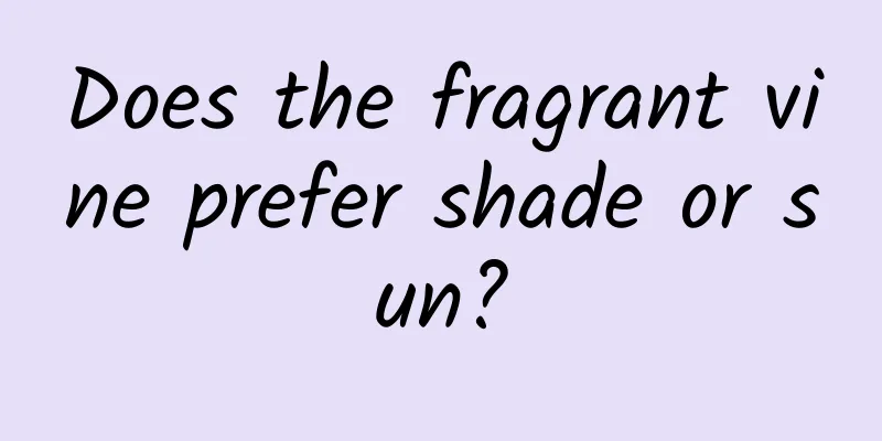 Does the fragrant vine prefer shade or sun?