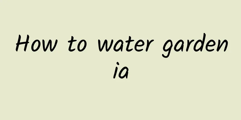 How to water gardenia