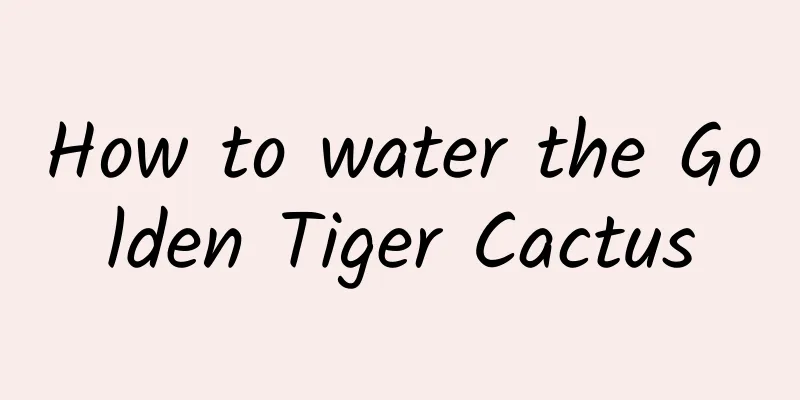 How to water the Golden Tiger Cactus