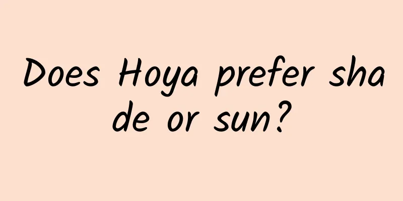 Does Hoya prefer shade or sun?