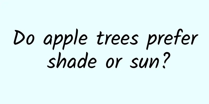 Do apple trees prefer shade or sun?