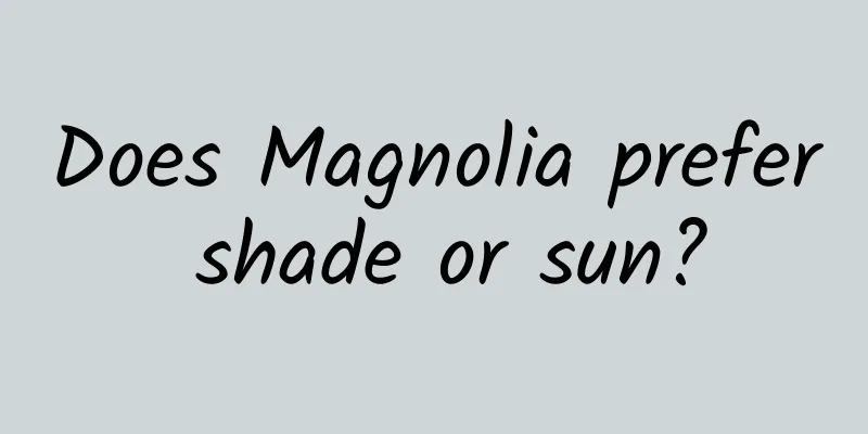 Does Magnolia prefer shade or sun?