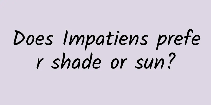 Does Impatiens prefer shade or sun?