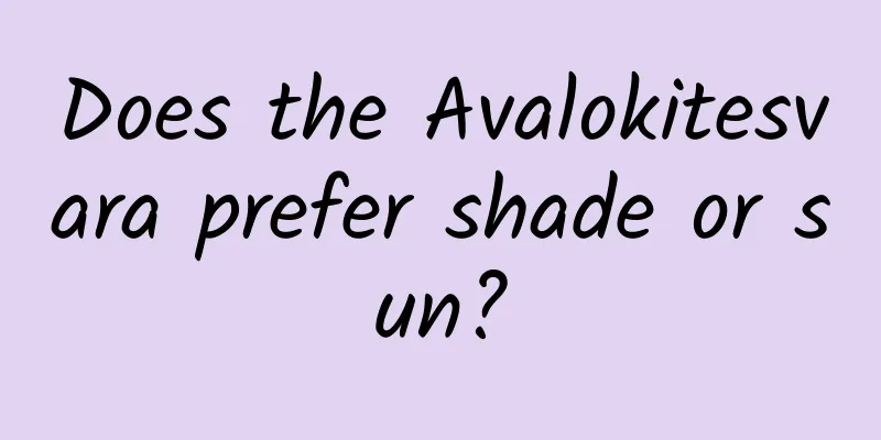 Does the Avalokitesvara prefer shade or sun?