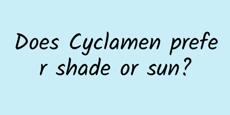 Does Cyclamen prefer shade or sun?