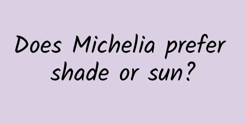 Does Michelia prefer shade or sun?