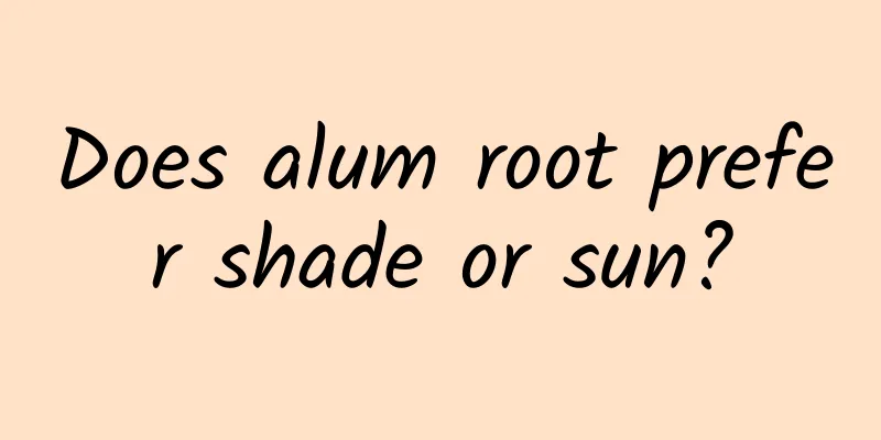 Does alum root prefer shade or sun?