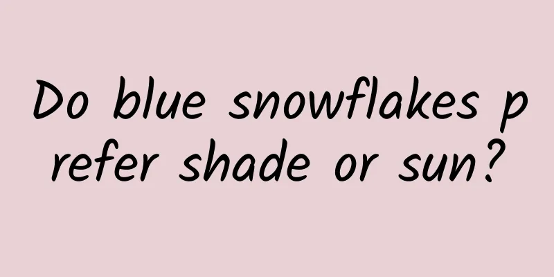 Do blue snowflakes prefer shade or sun?