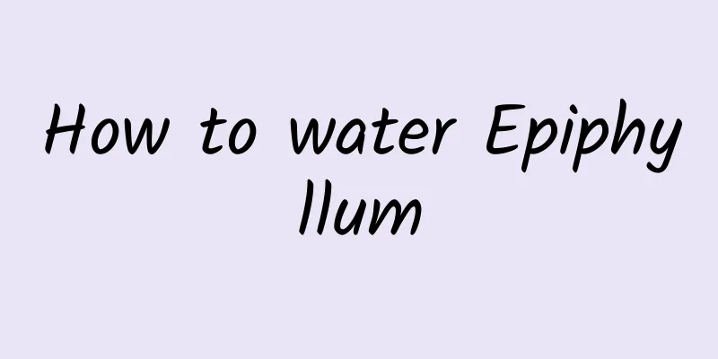 How to water Epiphyllum