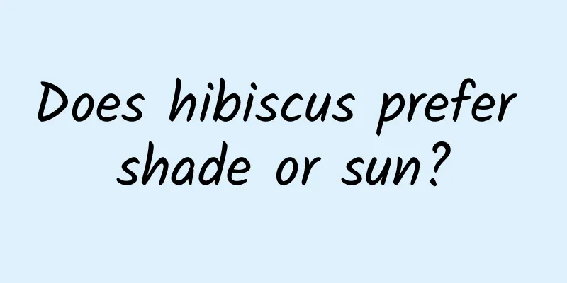 Does hibiscus prefer shade or sun?