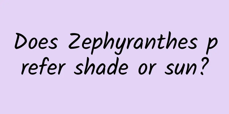 Does Zephyranthes prefer shade or sun?