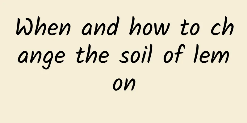 When and how to change the soil of lemon