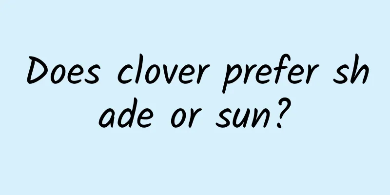 Does clover prefer shade or sun?