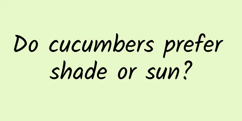 Do cucumbers prefer shade or sun?