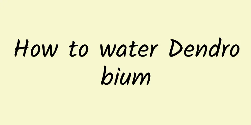 How to water Dendrobium