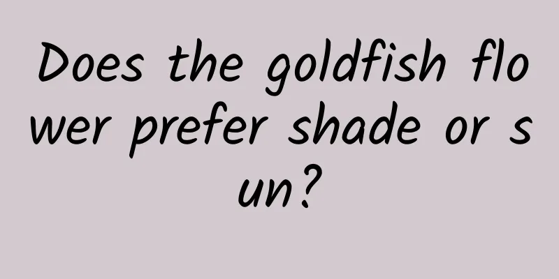 Does the goldfish flower prefer shade or sun?