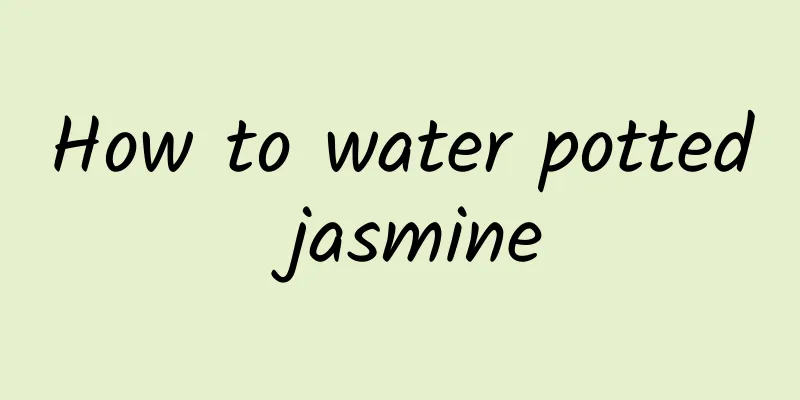How to water potted jasmine