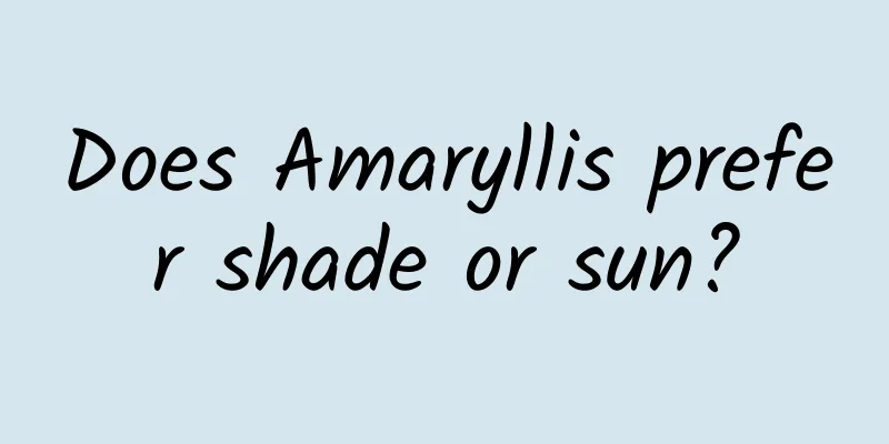 Does Amaryllis prefer shade or sun?