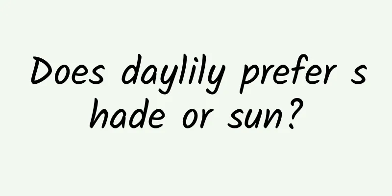 Does daylily prefer shade or sun?