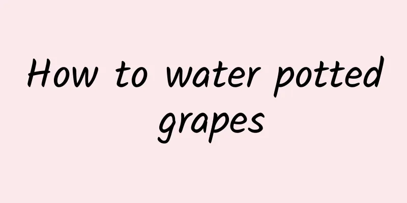How to water potted grapes